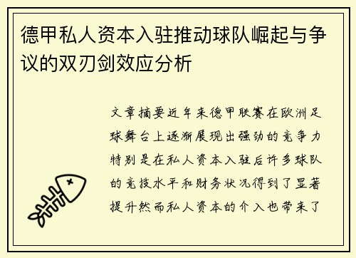 德甲私人资本入驻推动球队崛起与争议的双刃剑效应分析